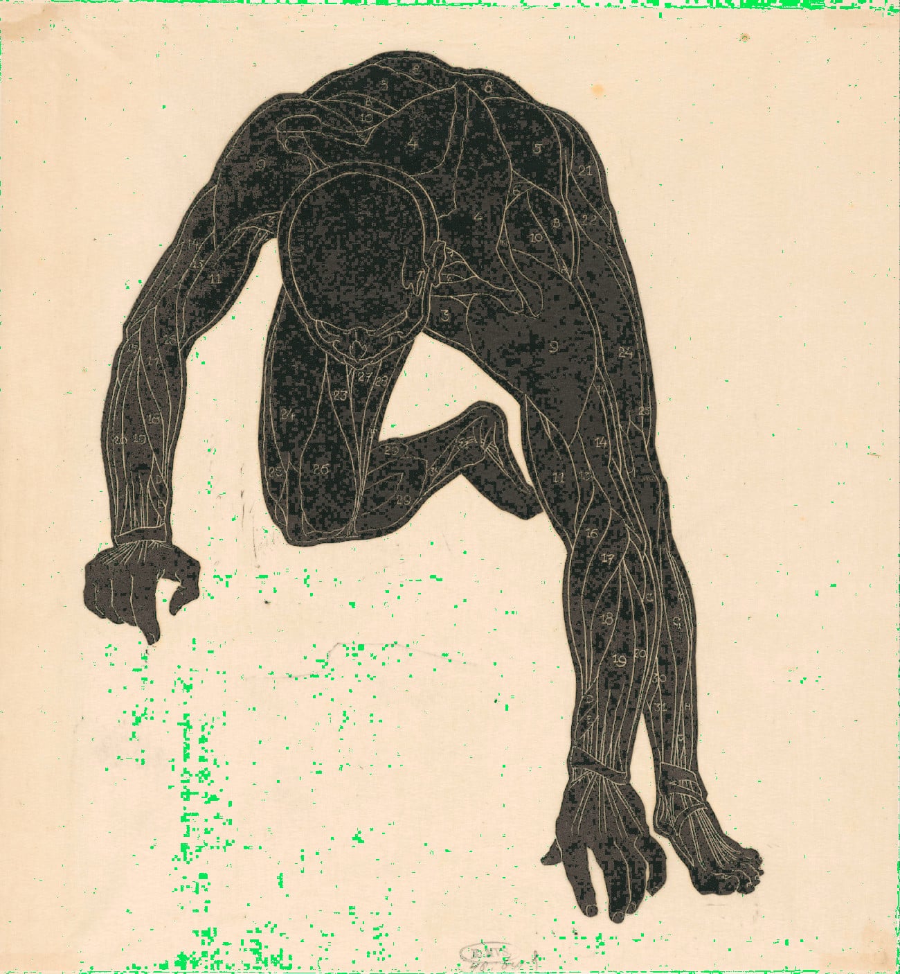 Anatomische studie van de hals-, arm- en beenspieren van een man in silhouet, Reijer Stolk, 1906 - 1945